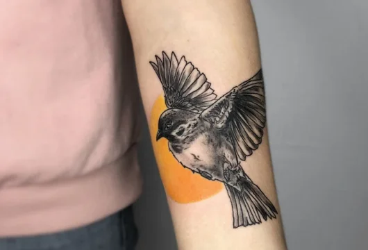 студия black dots фото 4 - tattooo.ru